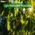 Light Dependent Reactions: Definition, Examples, Diagram, Process, Explanation